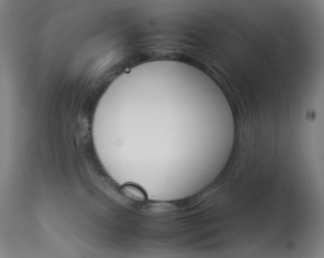 X0000113910087200909241316