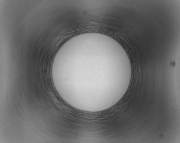 X0000113910088200909241316