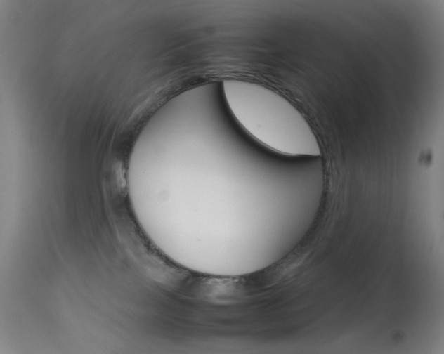 X0000113910089200909241316