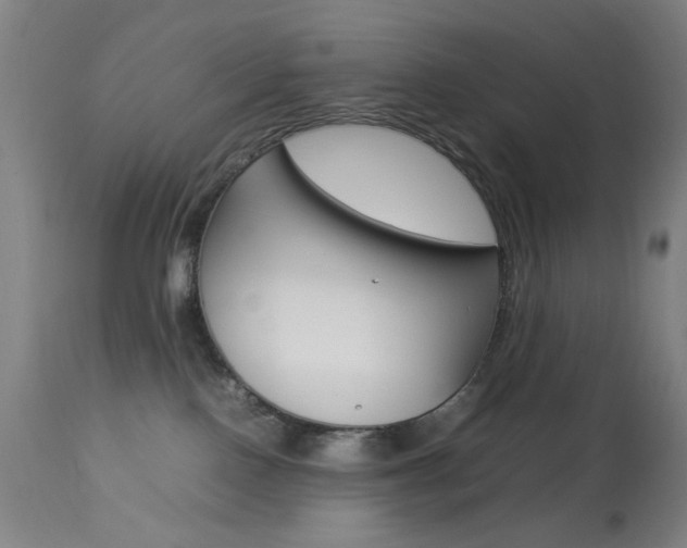 X0000113910090200909241316
