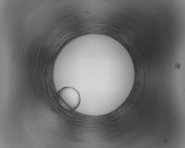 X0000113910092200909241316