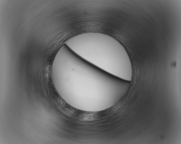X0000113910093200909241316