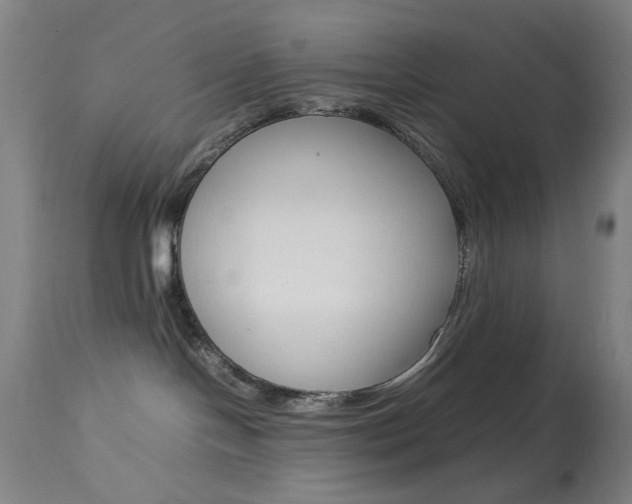 X0000113910094200909241316
