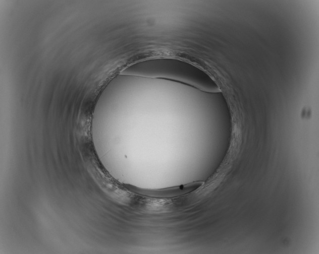 X0000113910096200909241316