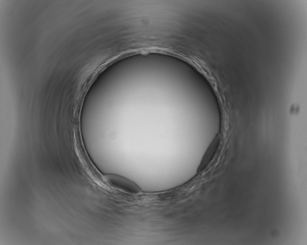 X0000113910097200909241315