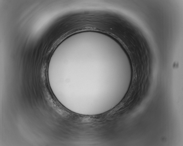 X0000113910098200909241315