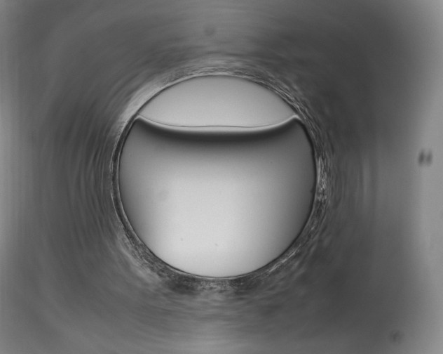 X0000113910099200909241315