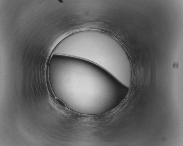 X0000113910100200909241315