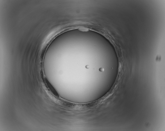 X0000113910101200909241315