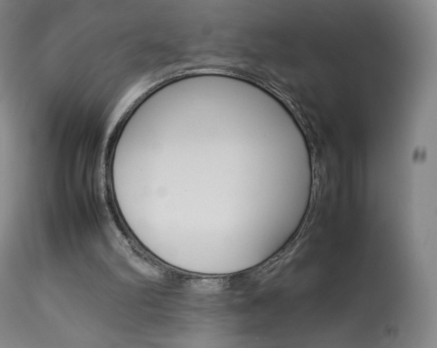 X0000113910102200909241315