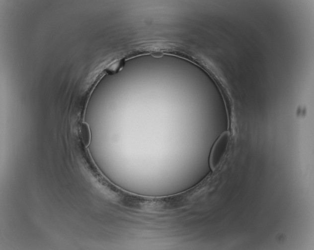X0000113910105200909241315