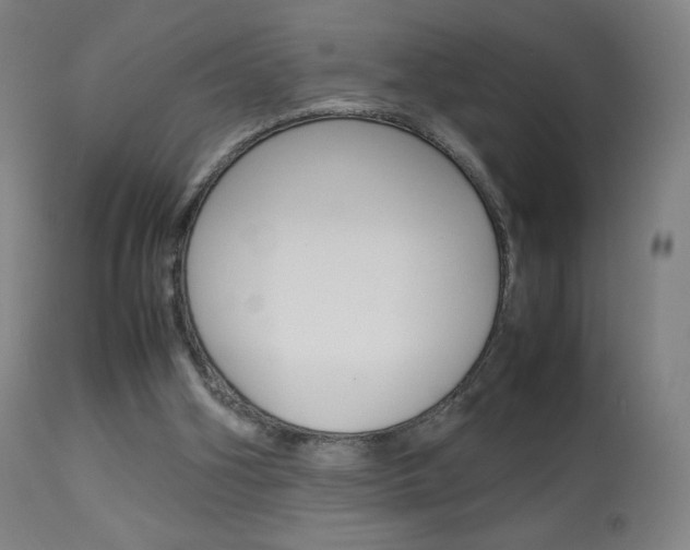 X0000113910106200909241315