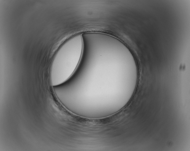 X0000113910107200909241315