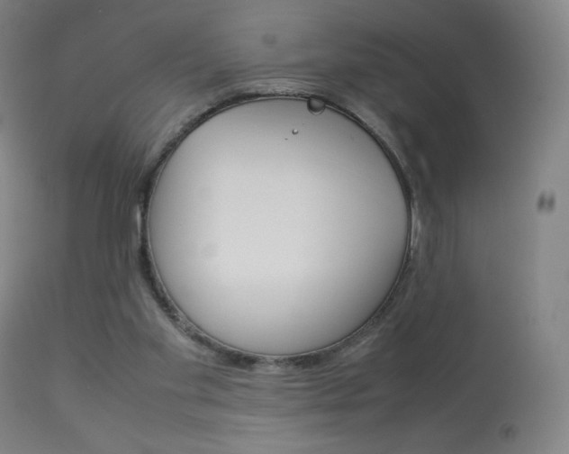 X0000113910109200909241315