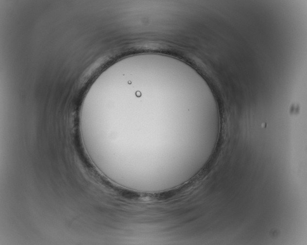 X0000113910111200909241315