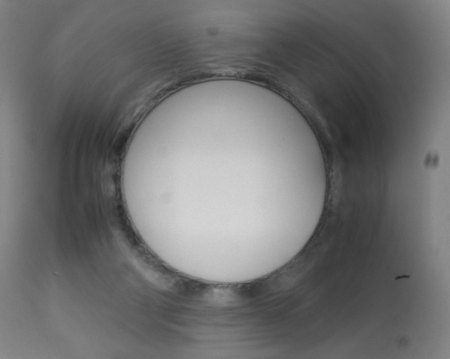 X0000113910114200909241315