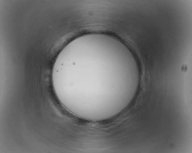 X0000113910115200909241315