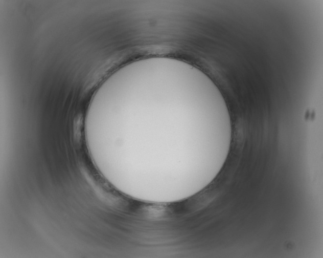 X0000113910118200909241315