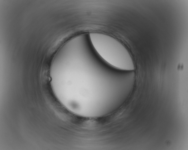 X0000113910119200909241315