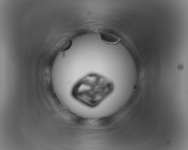 X0000113910121200909241315