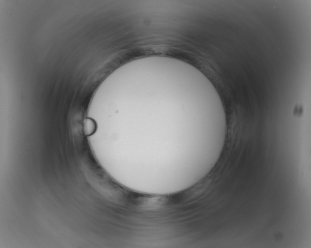 X0000113910122200909241315