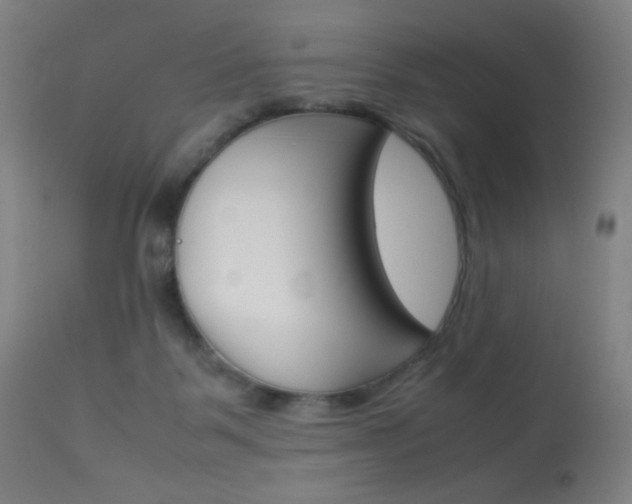X0000113910123200909241315