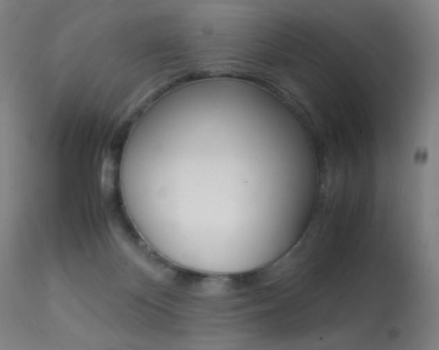 X0000113910124200909241315