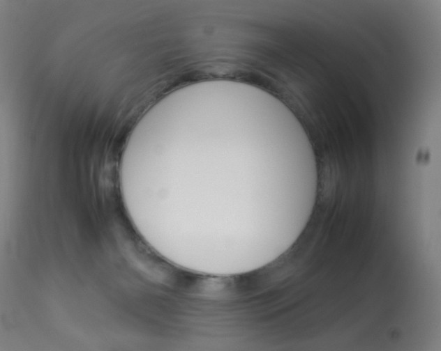 X0000113910126200909241315