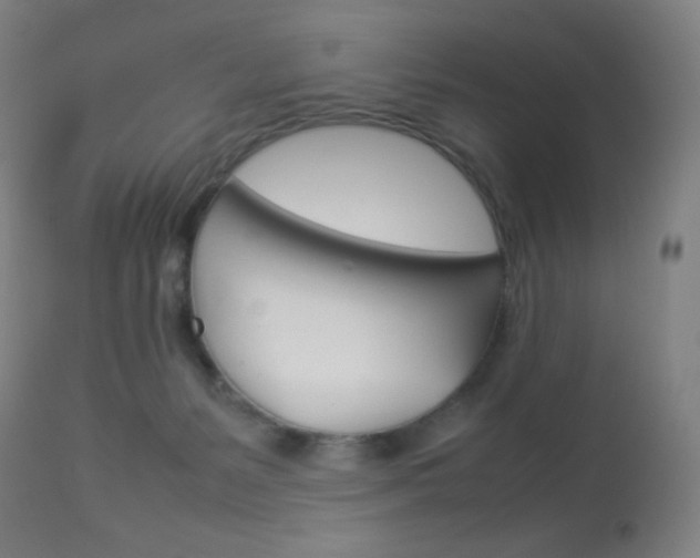 X0000113910127200909241314