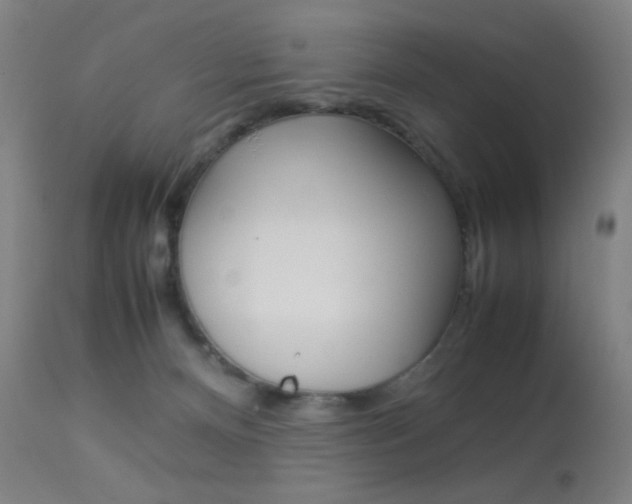 X0000113910128200909241314