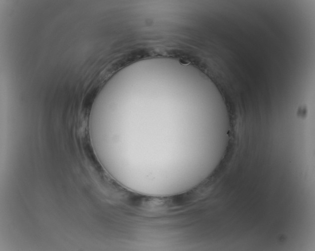 X0000113910129200909241314