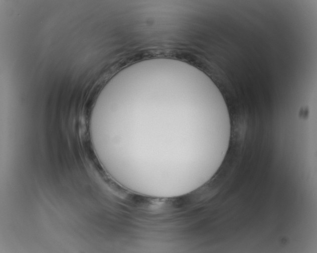 X0000113910130200909241314
