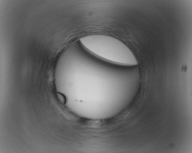 X0000113910131200909241314