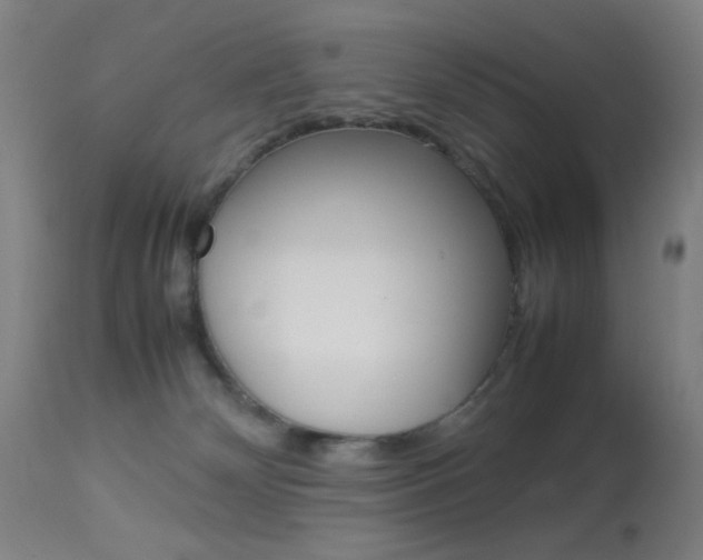 X0000113910132200909241314