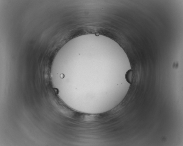 X0000113910134200909241314