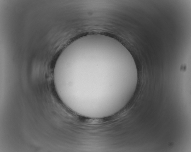 X0000113910135200909241314