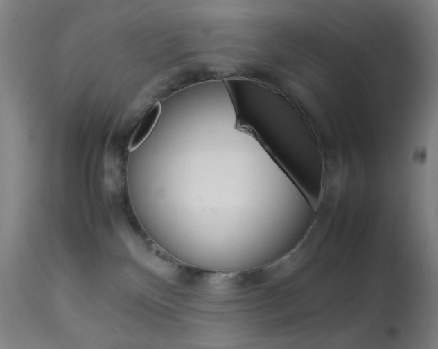 X0000113910136200909241314