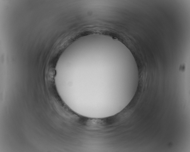 X0000113910137200909241314