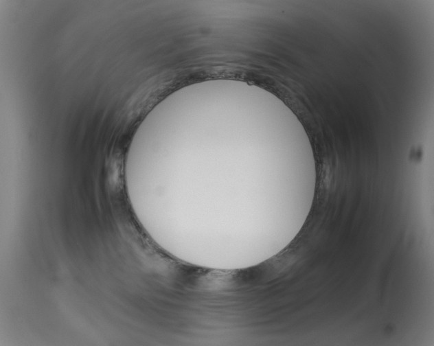 X0000113910138200909241314