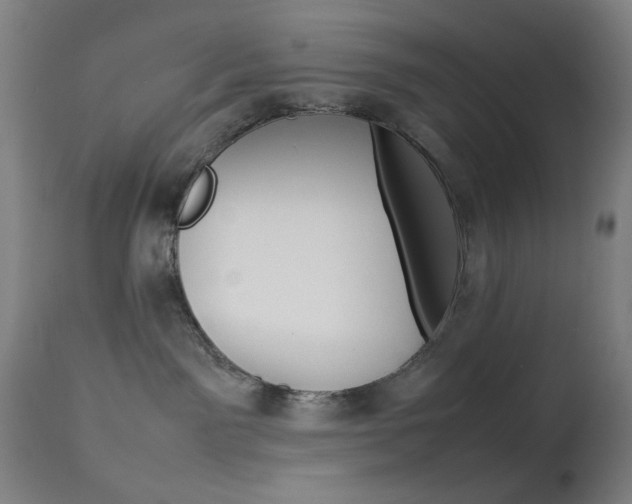 X0000113910141200909241314