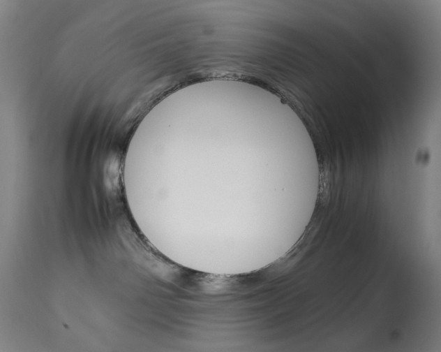 X0000113910142200909241314