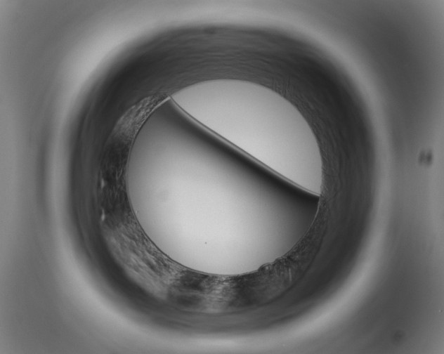 X0000113910143200909241314