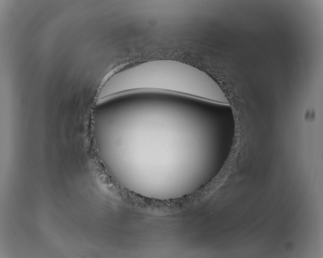 X0000113910144200909241314