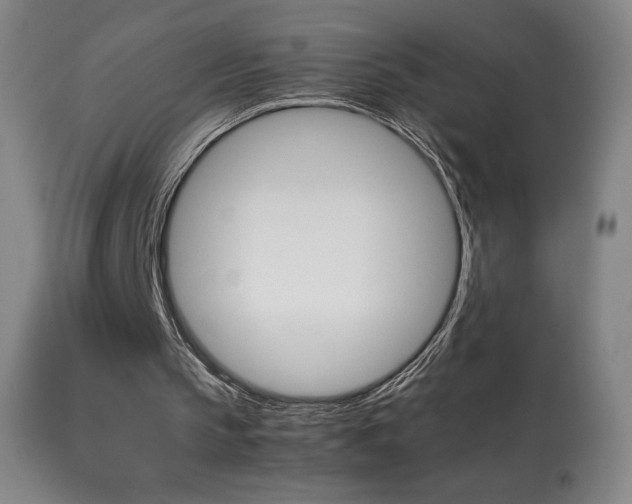 X0000113910145200909241314