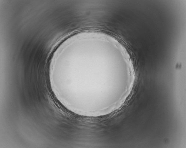 X0000113910146200909241314
