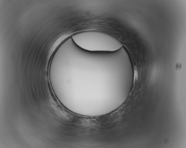 X0000113910147200909241314