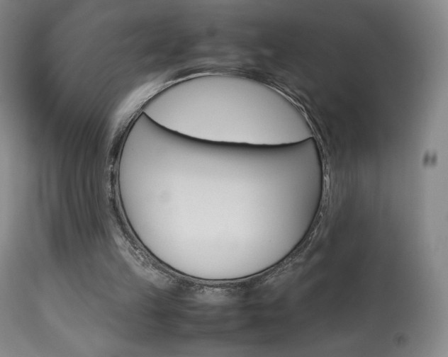 X0000113910149200909241314