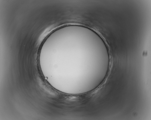 X0000113910151200909241314