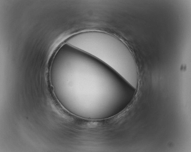 X0000113910152200909241314