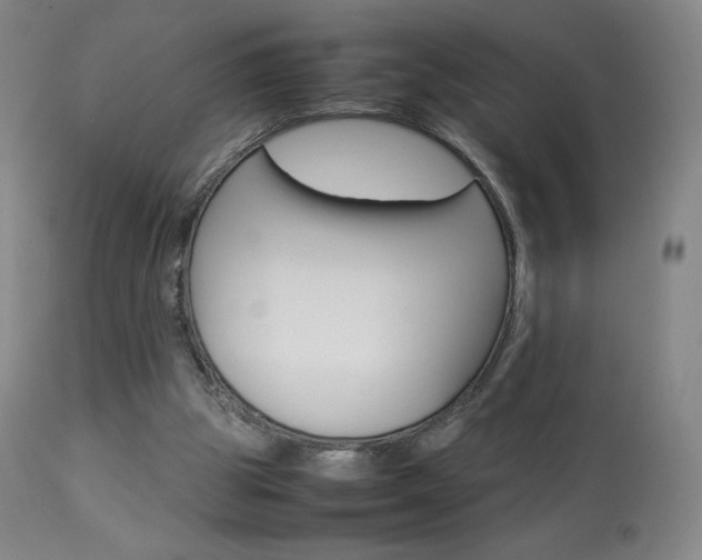 X0000113910153200909241314
